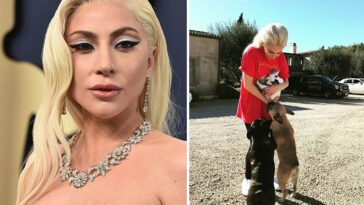 Lady Gaga presenterar ny valp tre år efter den skrämmande hundkidnappningen
