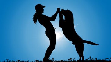 Så skapar du en stark relation med din nya hund