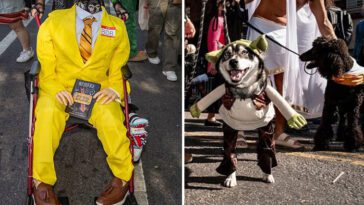 24 hundar som stal showen i New Yorks Halloweenparad med sina skrämmande kostymer