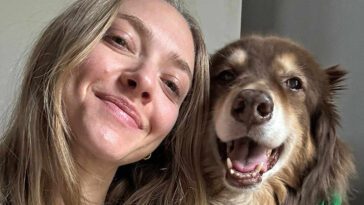 Mamma-Mia-skådisen Amanda Seyfried: "Min hund har räddat mitt liv"