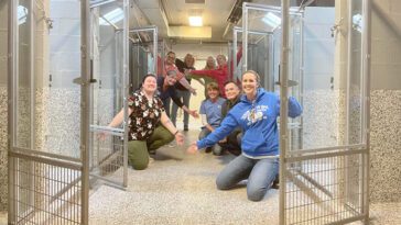 För första gången på 50 år: Hundhemmet tomt efter mirakulös adoption av 600 hundar