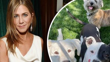 Jennifer Aniston nyfiken på att klona sina älskade hundar: "Det låter kanske lite galet"
