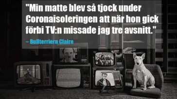 Skrattgaranti för hundälskare: Bullterriern Claire skojar om Coronaviruset