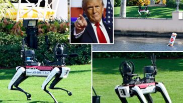 Robothundar säkrar upp Donald Trumps villa efter presidentvalet