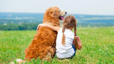 10 sätt att visa din hund att du älskar den – som den förstår