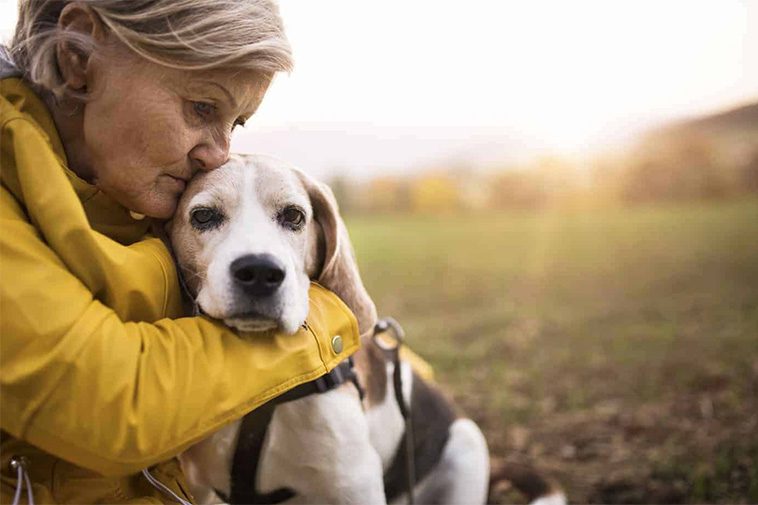 10 sätt att visa din hund att du älskar den – som den förstår