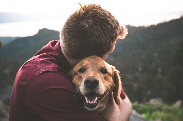 10 sätt att visa din hund att du älskar den – som den förstår