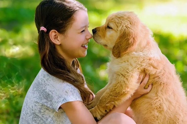 10 sätt att visa din hund att du älskar den – som den förstår