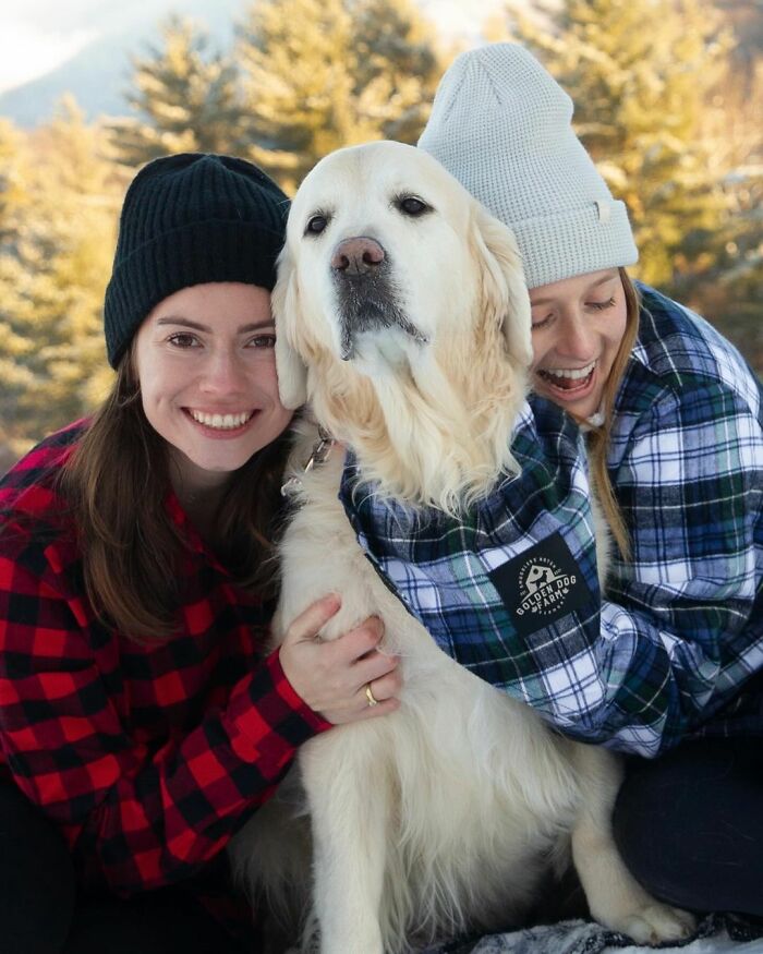 Ren glädje: Upplev 'Golden Retriever Hour' – "Folk gråter av glädje"