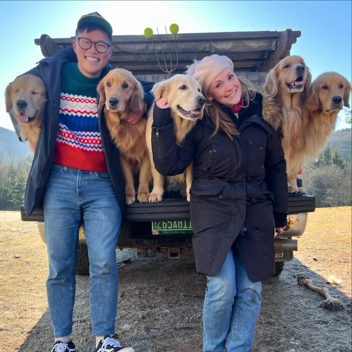 Ren glädje: Upplev 'Golden Retriever Hour' – "Folk gråter av glädje"