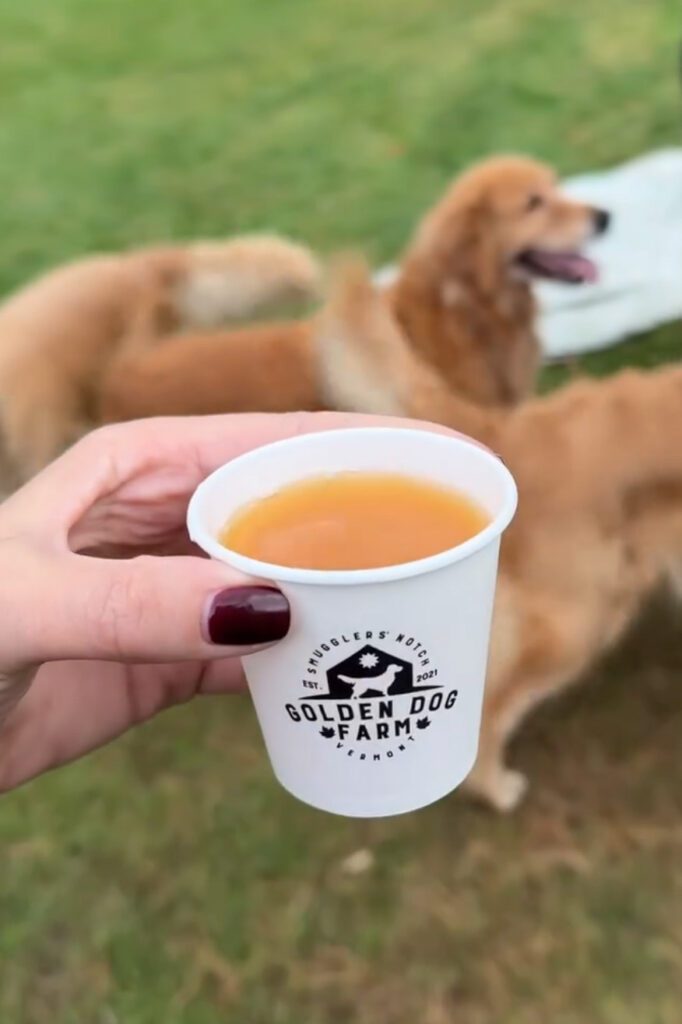 Ren glädje: Upplev 'Golden Retriever Hour' – "Folk gråter av glädje"