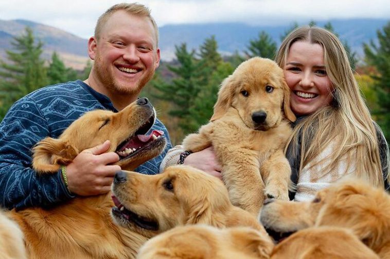 Ren glädje: Upplev 'Golden Retriever Hour' – "Folk gråter av glädje"