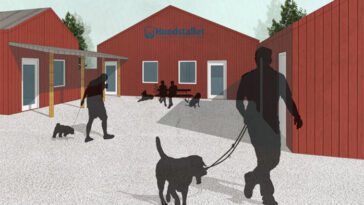 Omplacerade hundar fortsätter att öka – Hundstallet öppnar ny anläggning i Örkelljunga