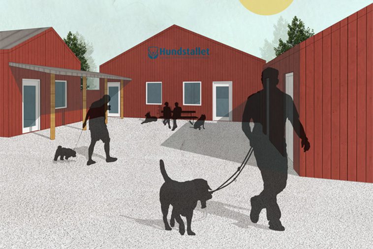 Omplacerade hundar fortsätter att öka – Hundstallet öppnar ny anläggning i Örkelljunga