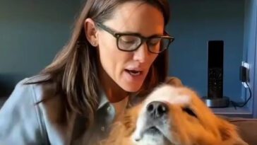 Jennifer Garner Golden Retriever gick bort i storhelgen: "Hjärtat är krossat"