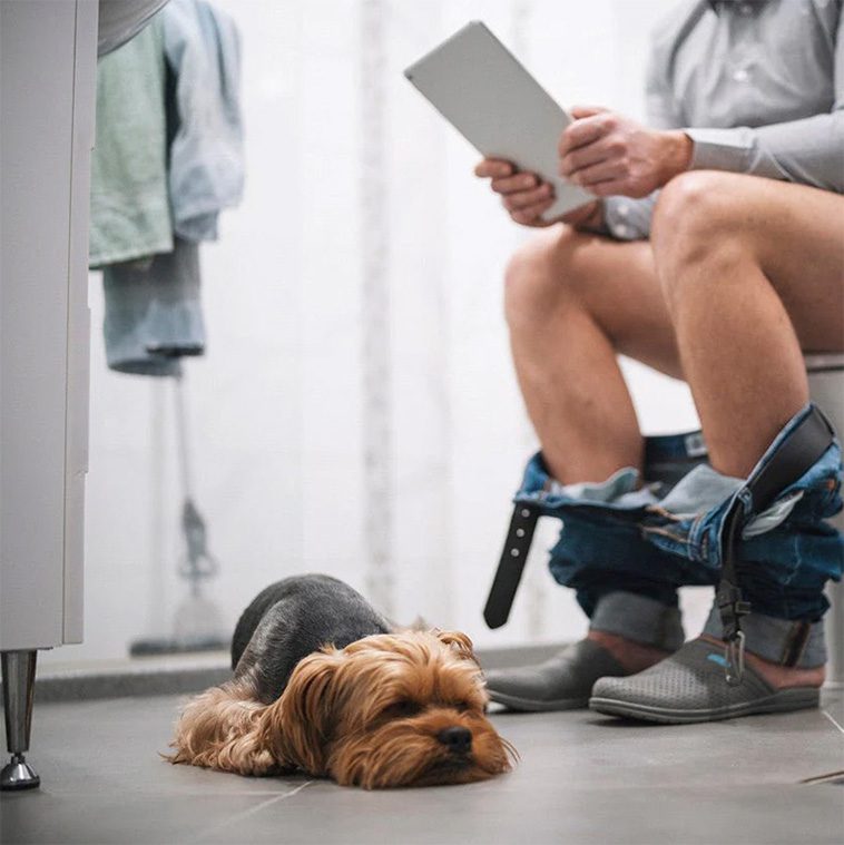 Därför följer din hund med dig på toaletten