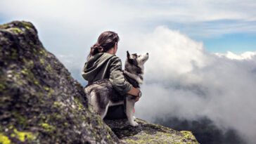 Hur du och din hund påverkar varandra – mer än vi tidigare trodde