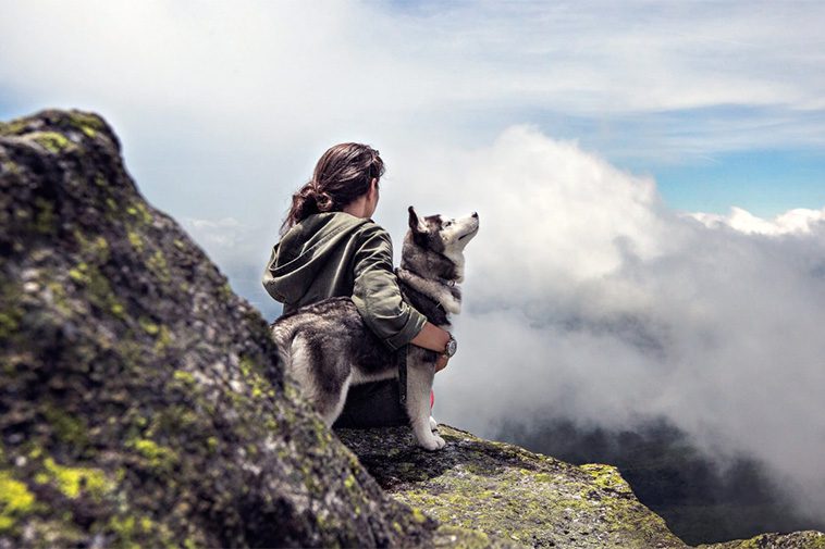 Hur du och din hund påverkar varandra – mer än vi tidigare trodde