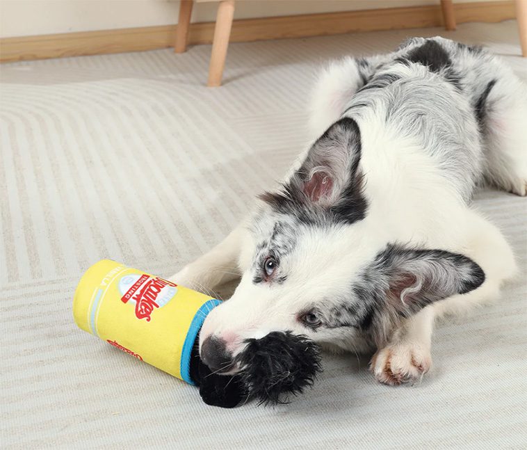 Skakar din hund leksaker? Här är anledningen bakom beteendet