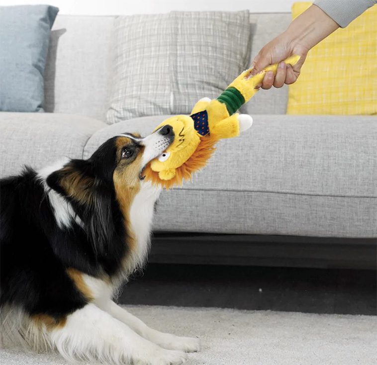 Skakar din hund leksaker? Här är anledningen bakom beteendet