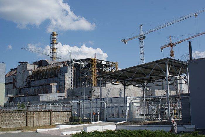Ny studie visar att hundar som lever nära Tjernobyl är genetiskt olika från andra hundar