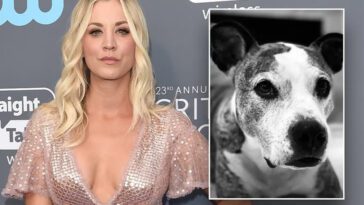 "Jag hatar människor!": Big Bang Theory-stjärnan väcker stor upprördhet efter att ha omplacerat sin hund
