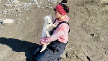 En kvinnas avsked med sin gamla hund resulterade i ett oväntat möte med en övergiven valp