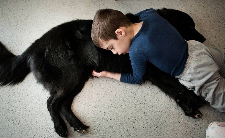 Black Dog Syndrome och dess effekter