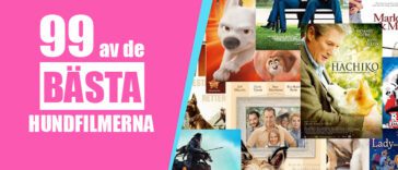 99 av de bästa hundfilmerna som ingen djurälskare bör missa
