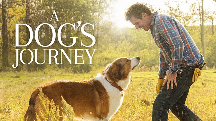 99 av de bästa hundfilmerna som ingen djurälskare bör missa: A Dog's Journey (2019)