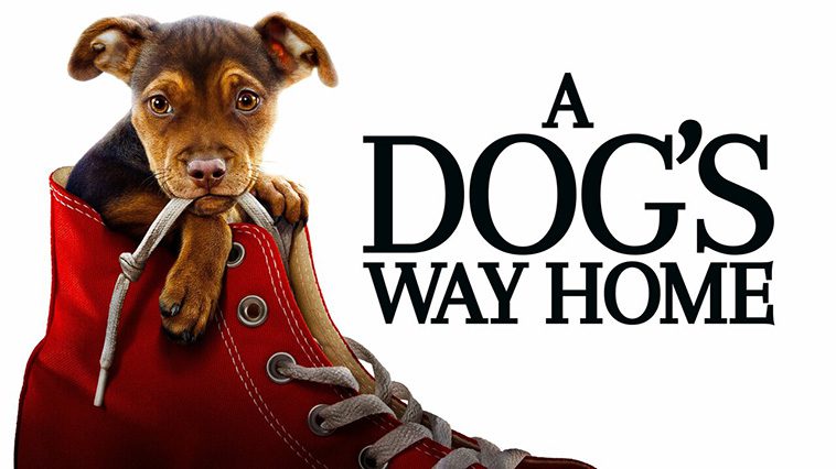 99 av de bästa hundfilmerna som ingen djurälskare bör missa: A Dog's Way Home (2019)