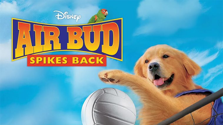 99 av de bästa hundfilmerna som ingen djurälskare bör missa: Air Bud Slår Tillbaka (2003)
