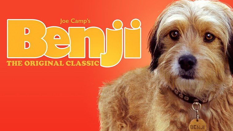 99 av de bästa hundfilmerna som ingen djurälskare bör missa: Benji - Alla Tiders Hjälte (1974)