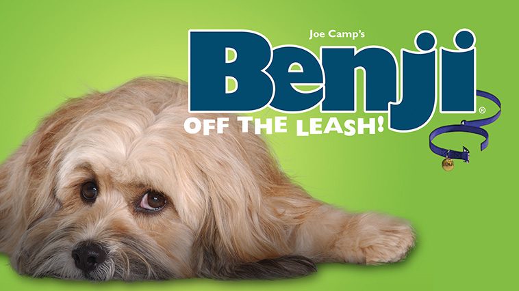 99 av de bästa hundfilmerna som ingen djurälskare bör missa: Benji: Off the Leash! (2004)