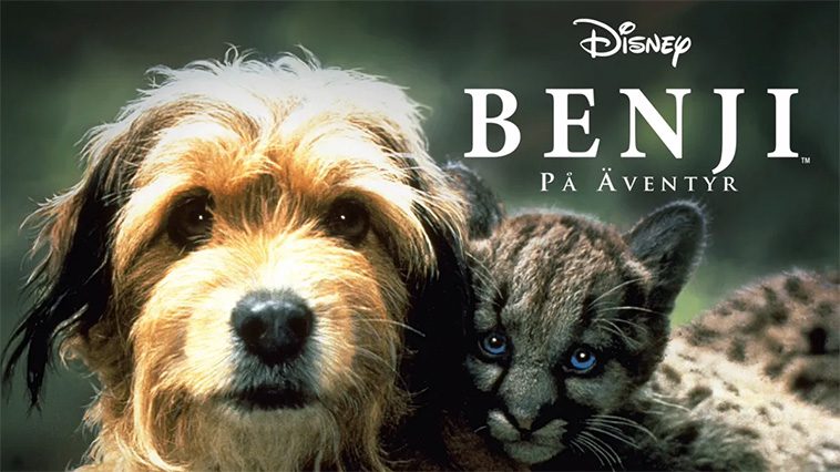 99 av de bästa hundfilmerna som ingen djurälskare bör missa: Benji på Äventyr (1987)