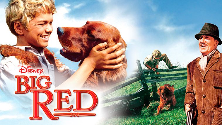 99 av de bästa hundfilmerna som ingen djurälskare bör missa: Big Red (1962)