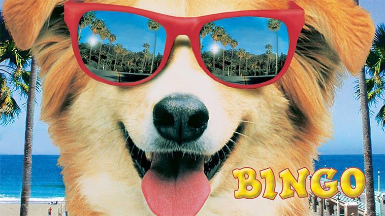 99 av de bästa hundfilmerna som ingen djurälskare bör missa: Bingo Rymmer (1991)