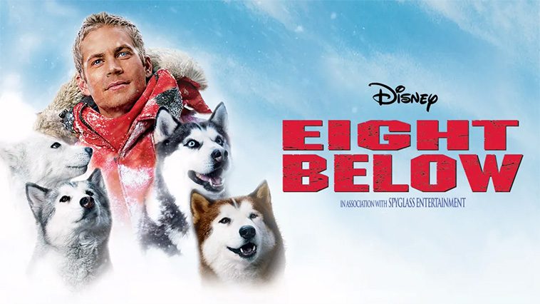 99 av de bästa hundfilmerna som ingen djurälskare bör missa: Eight Below (2006)