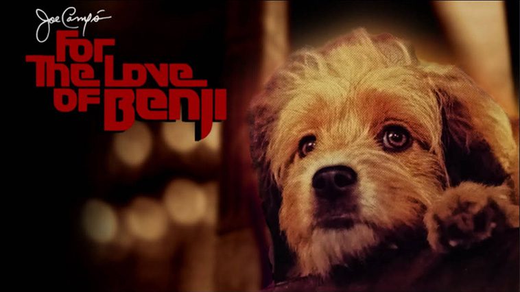 99 av de bästa hundfilmerna som ingen djurälskare bör missa: For the Love of Benji (1977)