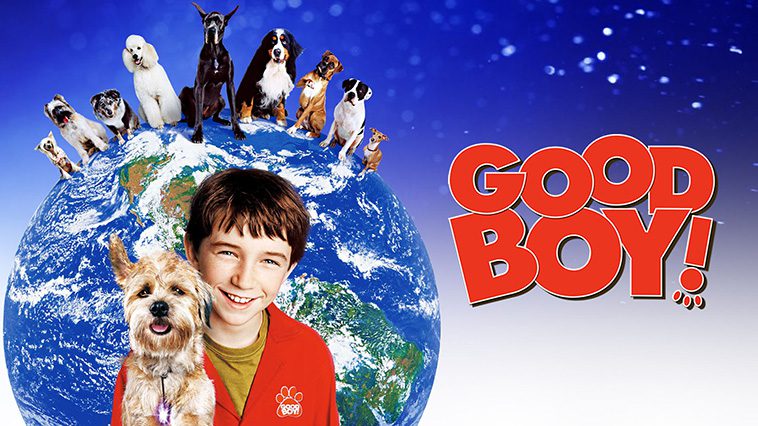 99 av de bästa hundfilmerna som ingen djurälskare bör missa: Duktig Vovve (2003)