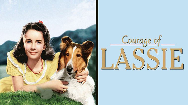99 av de bästa hundfilmerna som ingen djurälskare bör missa: Lassie i Vildmarken (1946)