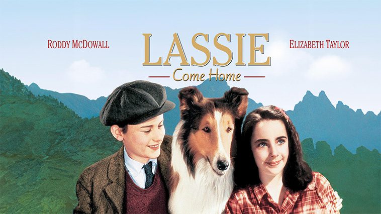 99 av de bästa hundfilmerna som ingen djurälskare bör missa: Lassie på Äventyr (1943)