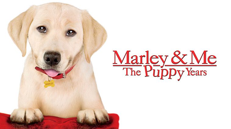 99 av de bästa hundfilmerna som ingen djurälskare bör missa: Marley & Jag - De Första Hundåren (2011)