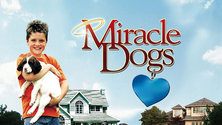99 av de bästa hundfilmerna som ingen djurälskare bör missa: Miracle Dogs (2003)