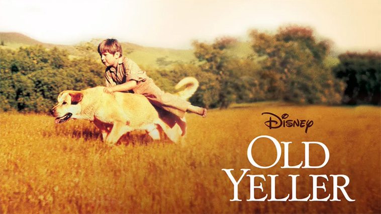 99 av de bästa hundfilmerna som ingen djurälskare bör missa: Old Yeller Klarar Allt (1957)