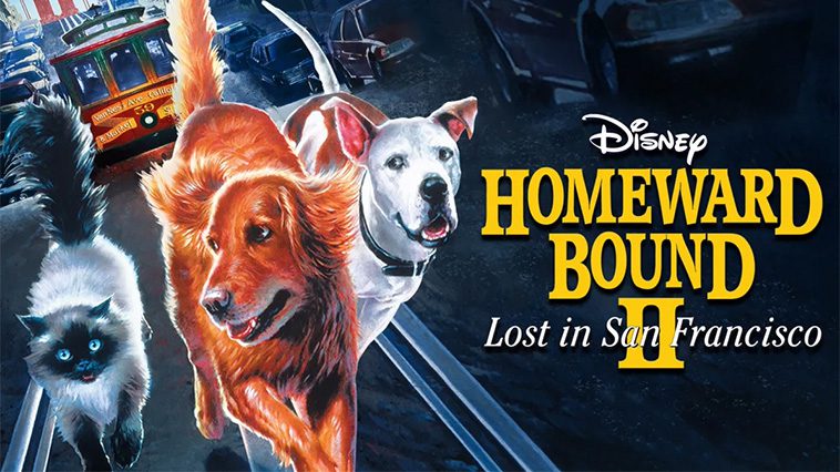 99 av de bästa hundfilmerna som ingen djurälskare bör missa: På Rymmen i San Francisco - Den Otroliga Vandringen 2 (1996)