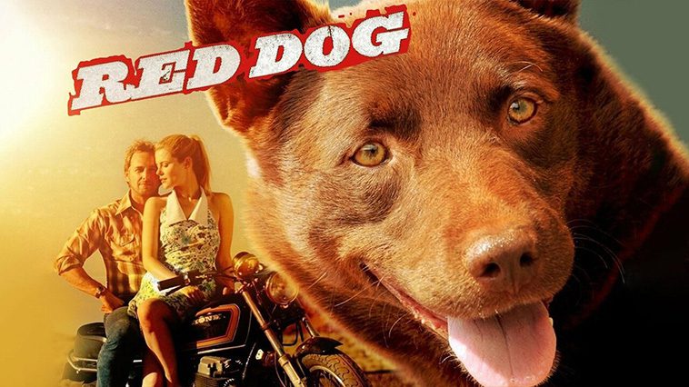 99 av de bästa hundfilmerna som ingen djurälskare bör missa: Red Dog (2011)