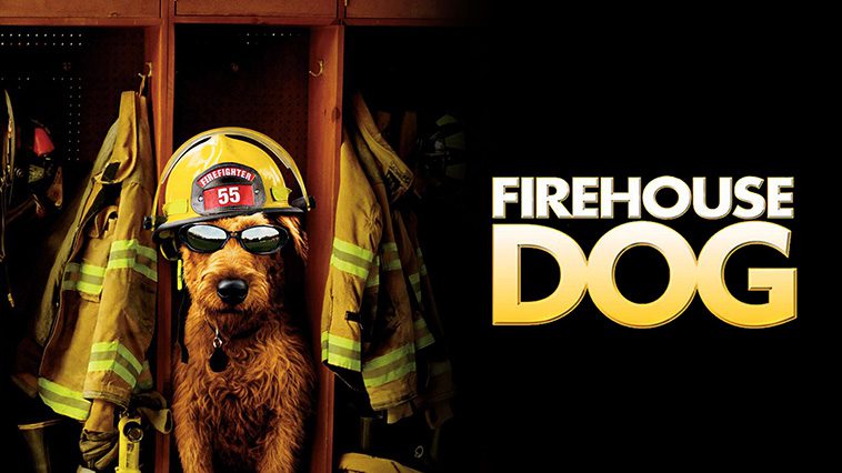 99 av de bästa hundfilmerna som ingen djurälskare bör missa: Rex - En Räddare i Nöden (2007)