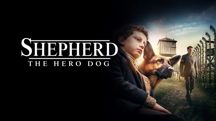 99 av de bästa hundfilmerna som ingen djurälskare bör missa: Shepherd: The Story of a Jewish Dog (2019)