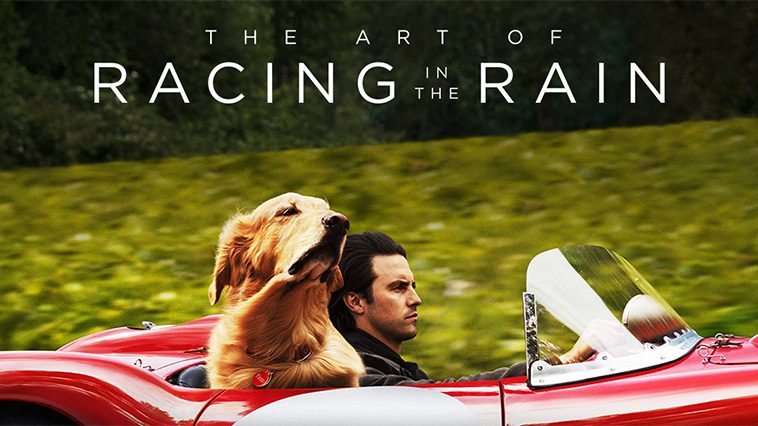 99 av de bästa hundfilmerna som ingen djurälskare bör missa: The Art of Racing in the Rain (2019)